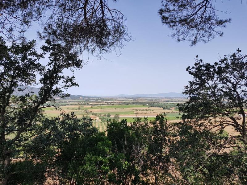 Poggio Alto Agrioturismo Villa โกรเซตโต ภายนอก รูปภาพ