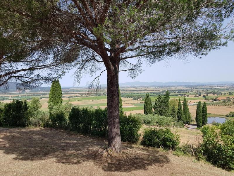 Poggio Alto Agrioturismo Villa โกรเซตโต ภายนอก รูปภาพ